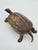 Brown Brass Turtle Box, 1970s For Sale - Image 8 of 13