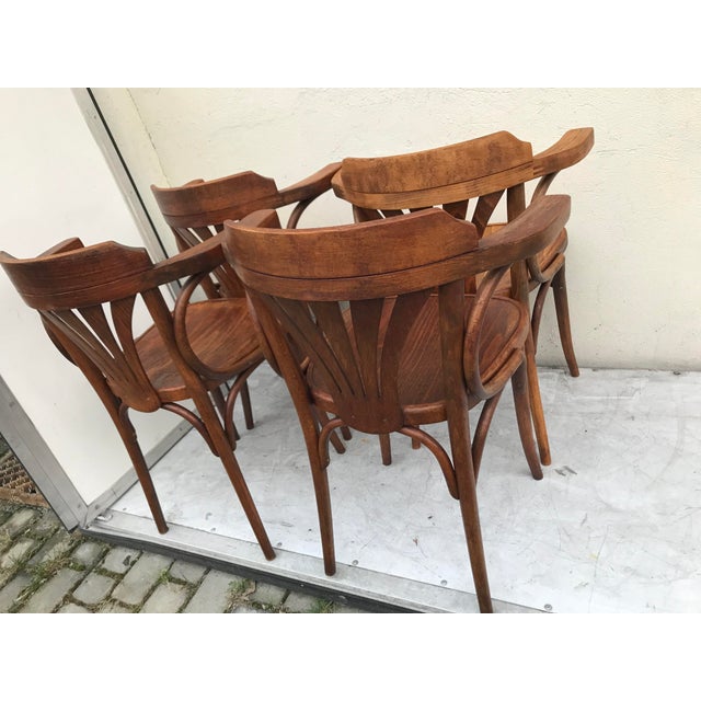 Vintage Beech Armchairs, 1950s, Set of 4 For Sale - Image 9 of 18
