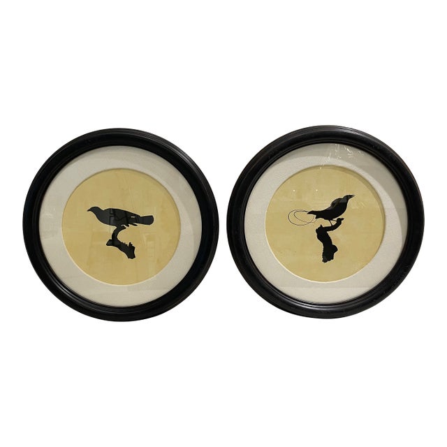 Pair of Natural Curiousities Bird Prints Framed For Sale