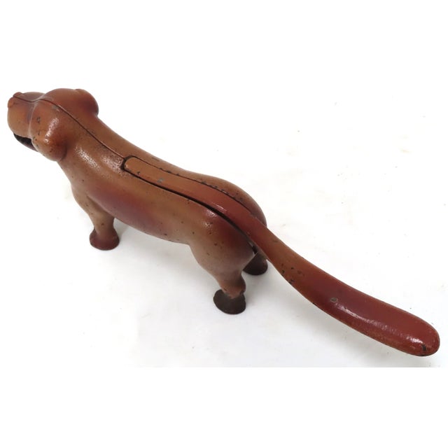 Chestnut Antique Cast Iron Free Standing Figurative Happy Dog Table Nut Cracker - Nice Original Paint For Sale - Image 8 of 13