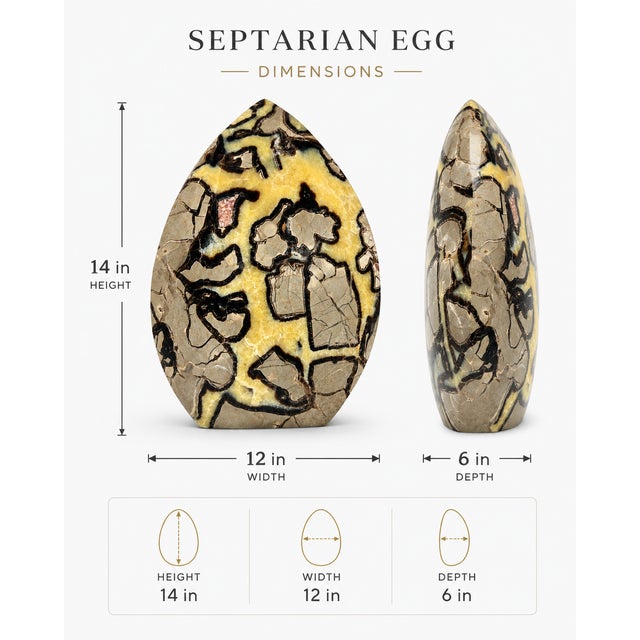 2010s Large Polished Septarian Egg Statement Mineral Sculpture – 14" / 56.6 Lb For Sale - Image 5 of 5