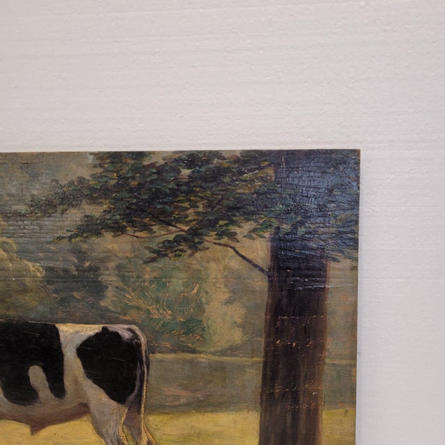 Roger Griboval, Rouen School Cow, 1980s, Oil on Board For Sale - Image 11 of 18
