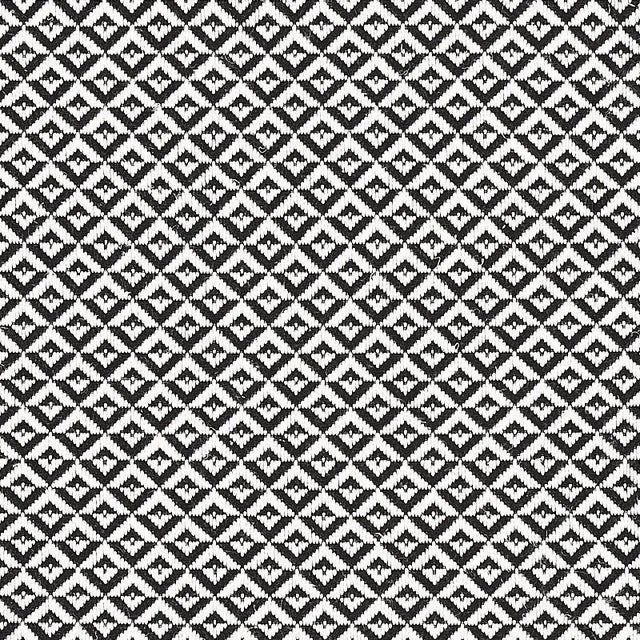 Sample - Schumacher Jamison Fabric in Black For Sale