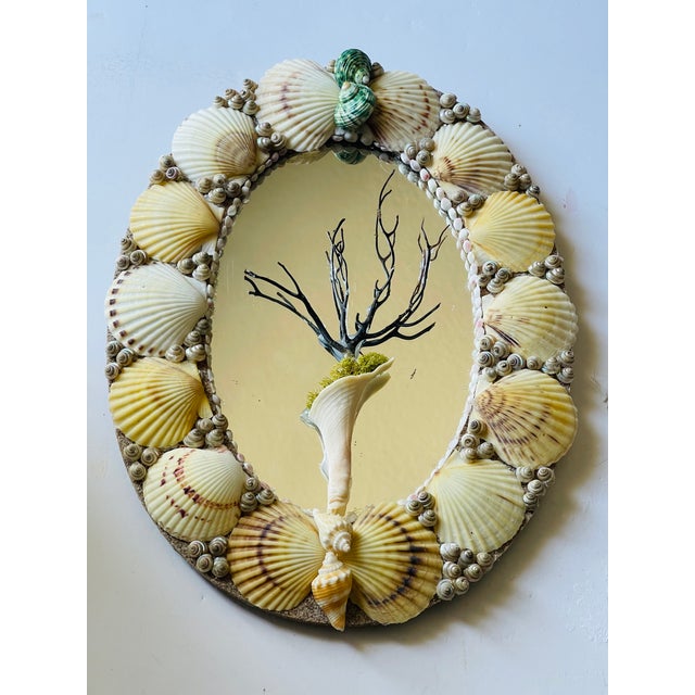 Sailor’s Valentines sea shells encrusted oval mirror with a shell and coral branch.