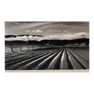 Evan Deutsch - Monterey Field - Original Photograph