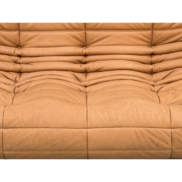 Mid-Century Modern French Three-Seater Togo Sofa in Leather by Michel Ducaroy for Ligne Roset For Sale - Image 3 of 10