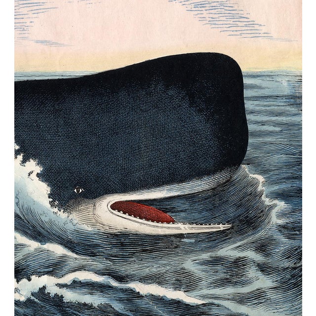 Contemporary Reproduction Prints After Illustrations From the 1850's, Pair of 2 For Sale - Image 4 of 7