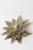 Vintage Floral Brass Wall Sconce by Maison Jansen, 1960s For Sale - Image 9 of 15