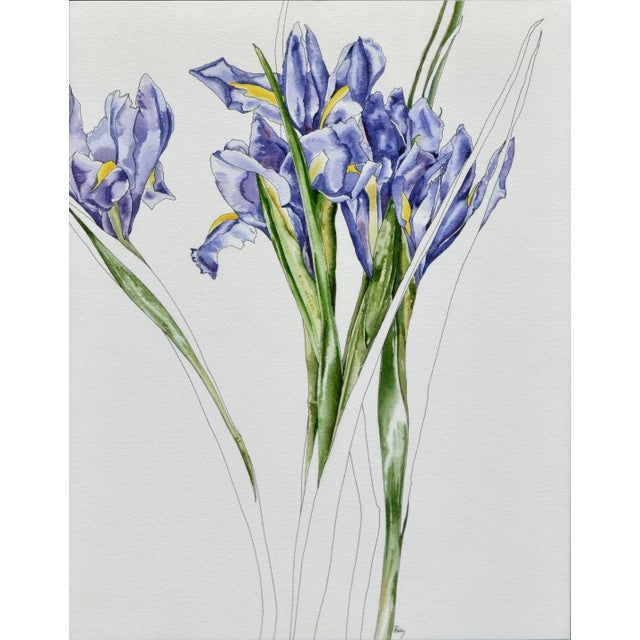 Wonderful watercolor floral study of purple iris (1985) by California artist Deborah Eddy (American, b. 1943). Signed...