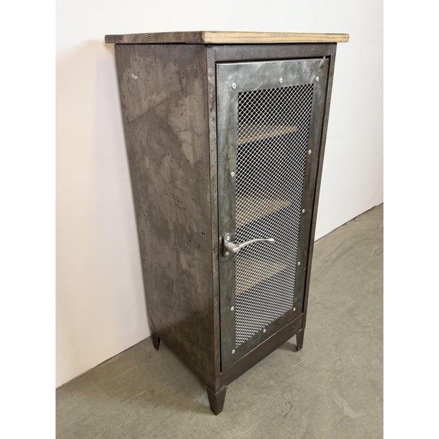 Brown Industrial Iron Cabinet with Mesh Door, 1960s For Sale - Image 8 of 15
