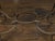 Midcentury Italian Wrought-Iron Coffee Table with Tile Top and Scrolling Base For Sale - Image 10 of 11