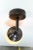 Ostrich Egg Cast Brass Arm Sconce For Sale - Image 10 of 11