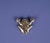 Handmade Silver Frog Brooch For Sale - Image 10 of 10