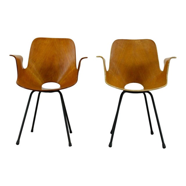 Mid-Century Modern Medea Armchair by Vittorio Nobili for Fratelli Tagliabue, Italy, 1950s For Sale - Image 11 of 18