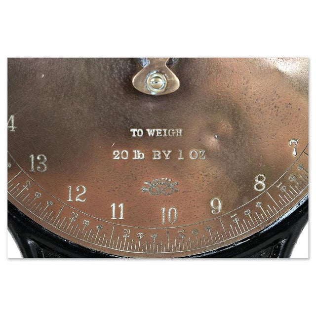20th Century Scale from Salter For Sale - Image 4 of 7