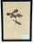 Black 1965 French Herbarium Botanical Specimens – Set of 9 Custom Framed Pressed Botanicals For Sale - Image 8 of 17