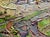 Oil Painting Landscape Spring Wind Oleksiy Ivanyuk For Sale - Image 4 of 12