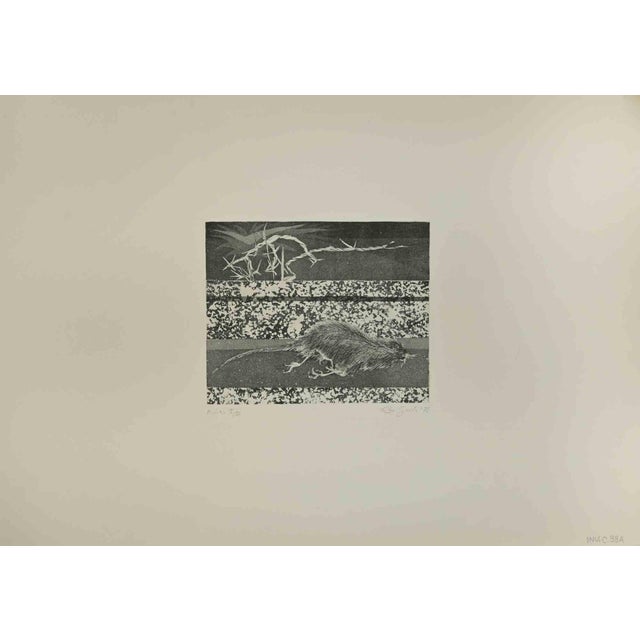 Rat at the border is an artwork realized by Leo Guida, 1971. Etching, 50 x 70 cm. Limited edition. Good conditions This...