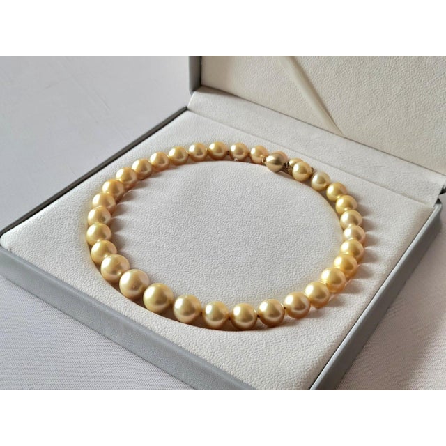 Gold South Sea Golden Pearls Necklace With 14k Gold Clasp For Sale - Image 8 of 11