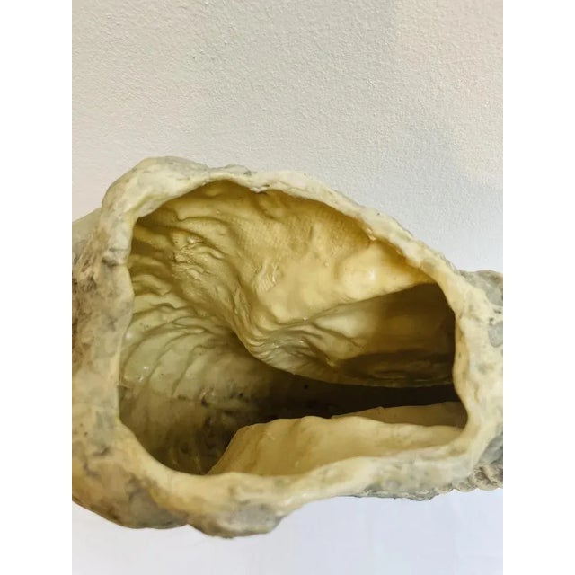 Large Ammonite Shaped Vase, 1980s For Sale - Image 4 of 10