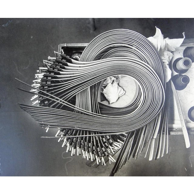 Vintage Black & White Abstract Leather Belt Photograph For Sale