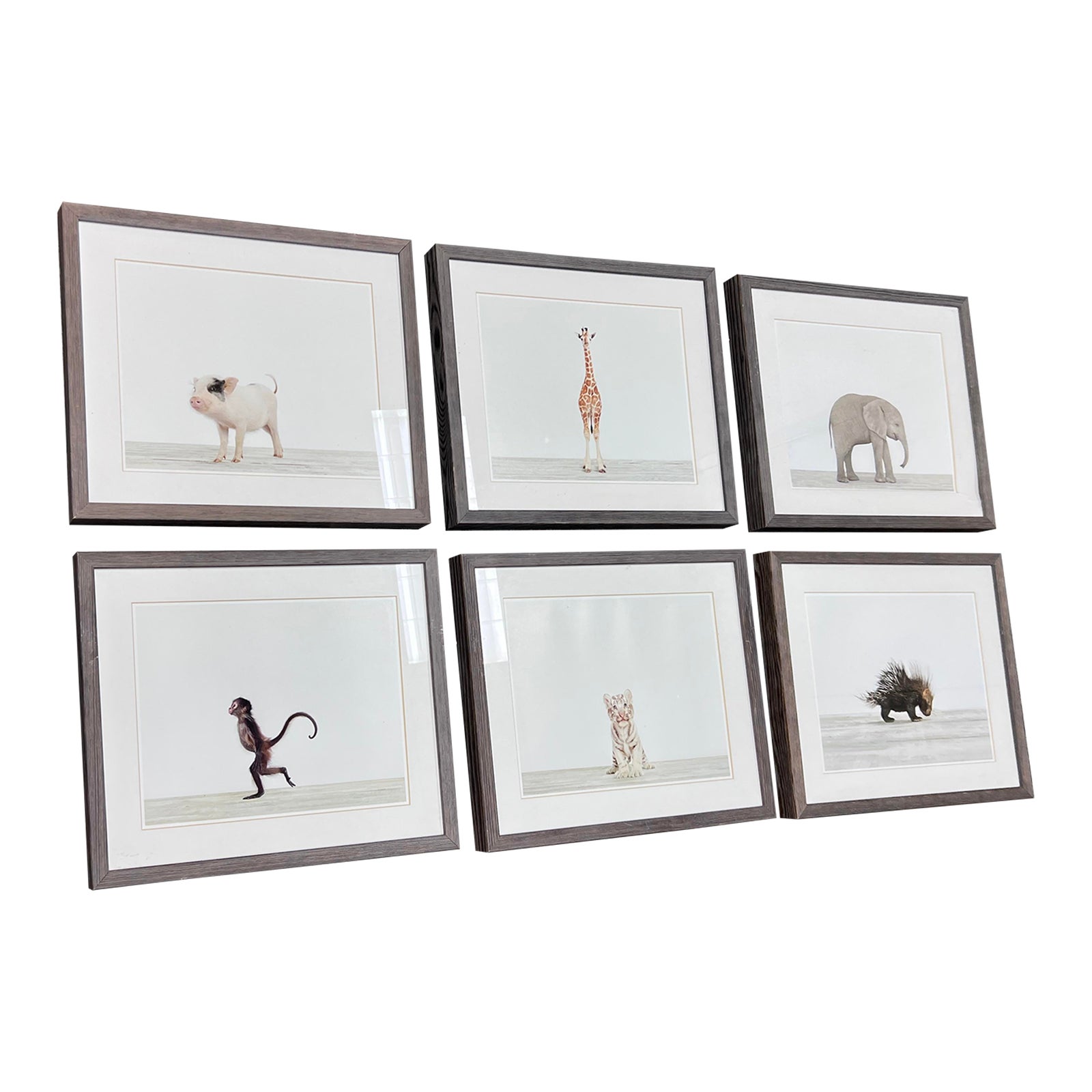 Restoration Hardware Baby & Child. Sharon Montrose Baby Animal Prints