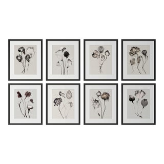 Set of 8 — “Flowers” Black & White Botanical Photography Prints | Unframed For Sale