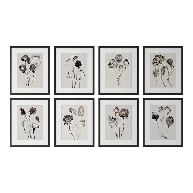 Set of 8 — “Flowers” Black & White Botanical Photography Prints | Unframed For Sale