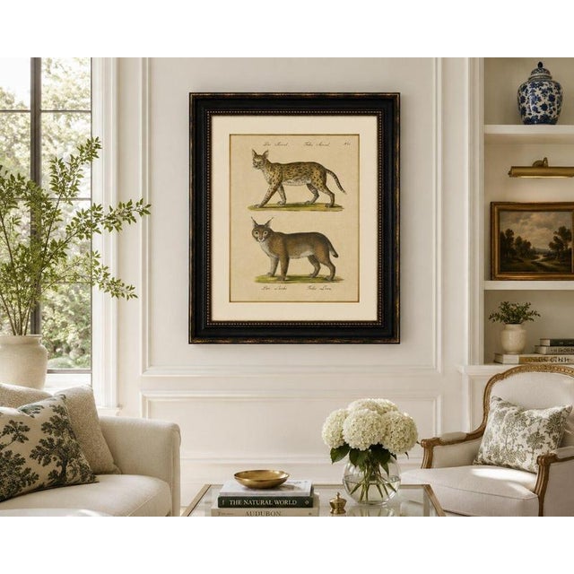 Black Karl Joseph Brodtmann, Serval and Eurasian Lynx, 1816, Lithograph For Sale - Image 8 of 9