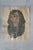 Late 20th Century Vintage Egyptian Revival Mythical Souvenir Papyrus Painting Art - Set of 18 For Sale - Image 16 of 18