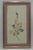 Age: Approx: 70 Years Old Details: ‘Grandmacore’ Botanical Art High Quality Construction Professionally Frame & Matted...