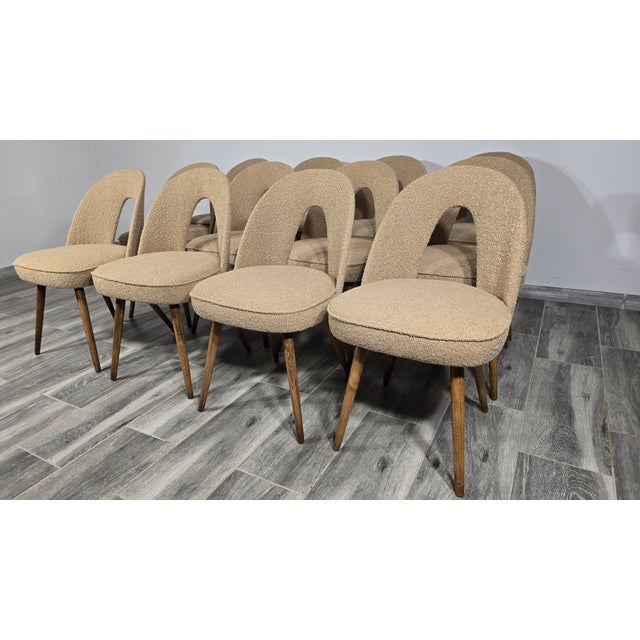 Textile Vintage Dining Chairs by Antonin Suman, 1960s, Set of 12 For Sale - Image 7 of 9