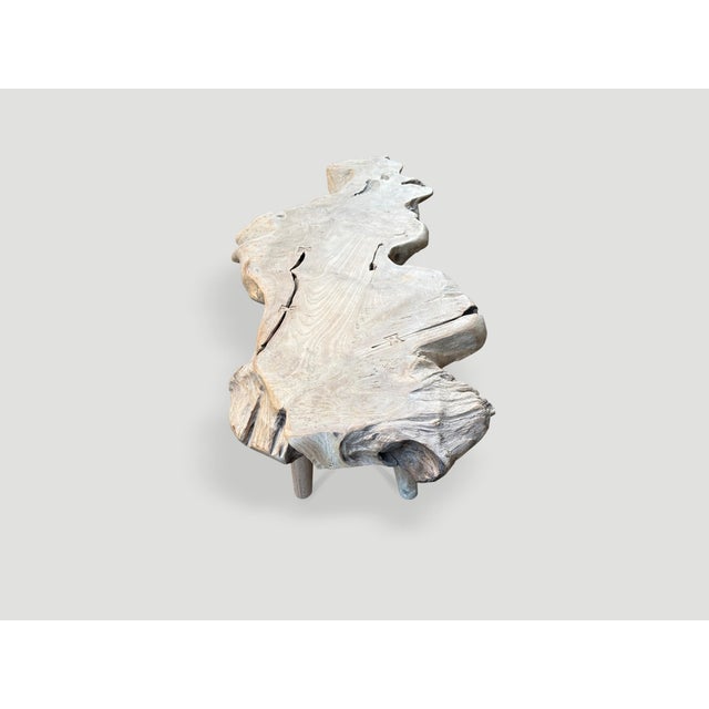 Andrianna Shamaris Sculptural Organic Teak Wood Coffee Table For Sale - Image 13 of 18