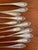 1900 - 1909 "The Ritz" Antique Hotel Silver Plate Cocktail Forks or Oyster Forks - Set of 11 - Hard to Find! - Seafood Forks, Coastal Entertaining, See Pics! For Sale - Image 5 of 10