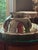 Mid 20th Century Vintage Silverplate Paul Revere Bowl, Serveware, Usa Origin For Sale - Image 5 of 14