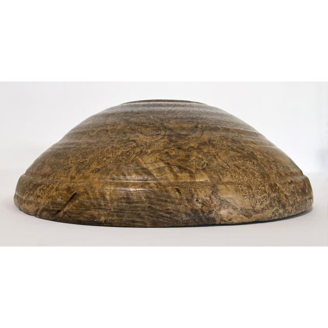 Amber Monumental 18th Century American Burlwood Bowl, Virtually Untouched Historical Significance For Sale - Image 8 of 12