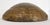 Amber Monumental 18th Century American Burlwood Bowl, Virtually Untouched Historical Significance For Sale - Image 8 of 12