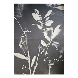 Stefano Mazzolini, RF2930, 2020, Acrylic on Paper For Sale