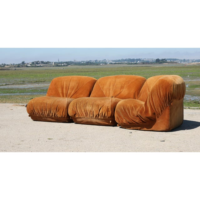 Vintage Modular Patate Sofa, 1970s, Set of 3 For Sale - Image 3 of 18