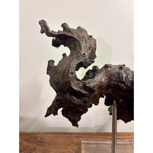 Mid-Century Modern Vintage Natural Burl Wood Abstract Dragon Sculpture on Lucite Base, Coastal Modern For Sale - Image 3 of 9