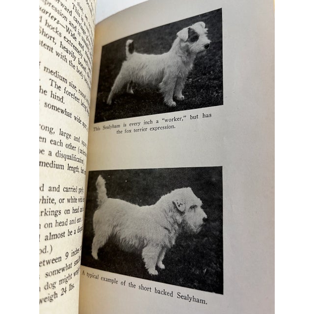 Paper 1922 Cairn and Sealyham Terriers Books Set/2 For Sale - Image 7 of 11