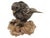 Silver Italian St Silver Sparrow Bird Figurine by Buccellati For Sale - Image 8 of 10
