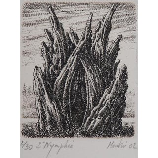 François Houtin, 2nd Nymphaeum, Etching For Sale
