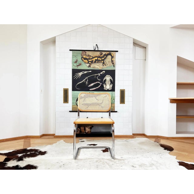 Marcel Breuer Italian Mid-Century Modern Marcel Breuer Cesca Accent, Side or Desk Chair, Italy For Sale - Image 4 of 11