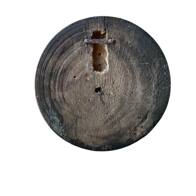 Late 19th Century Antique Mini Chamois Horn Goat Trophy Rd1 Black Forest Roe Deer For Sale - Image 5 of 5