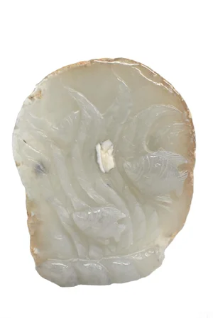 Agate Fish