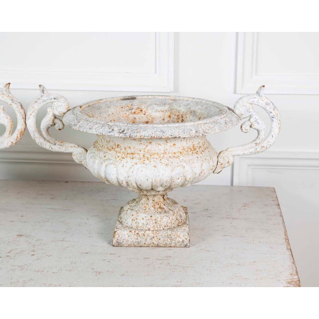 19th Century Pair of English 19th Century Cast-Iron Garden Urns For Sale - Image 5 of 13