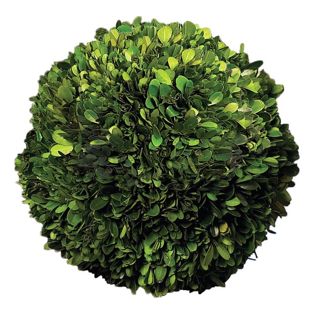 Boxwood Ball 12" For Sale