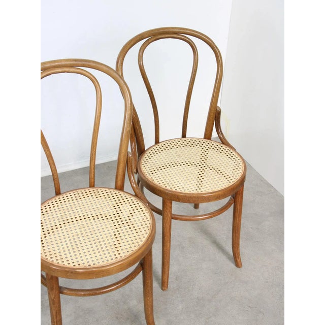 Vintage No. 18 Dining Chair by Michael Thonet For Sale - Image 3 of 18