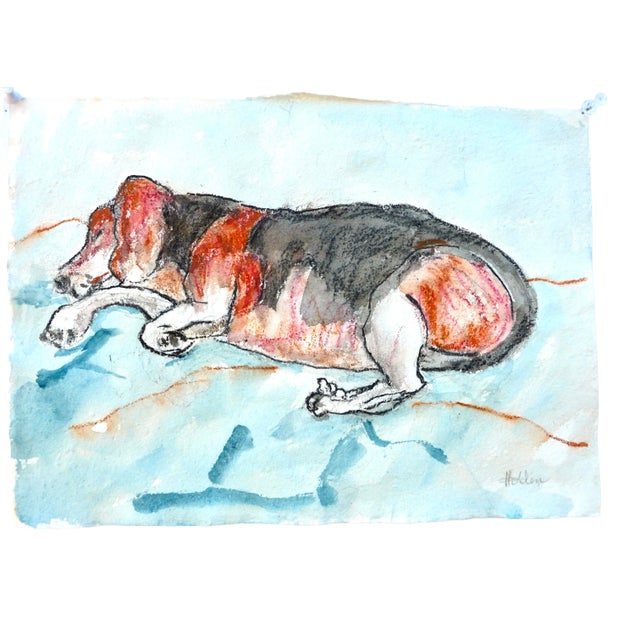 "Sleeping Beagle on Blue" Contemporary Abstract Dog Watercolor, Ink and Pastel Drawing on Paper by Martha Holden For Sale